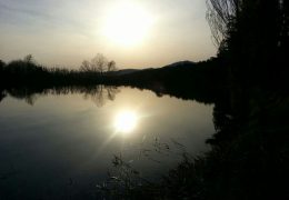 le Poggiola il lago