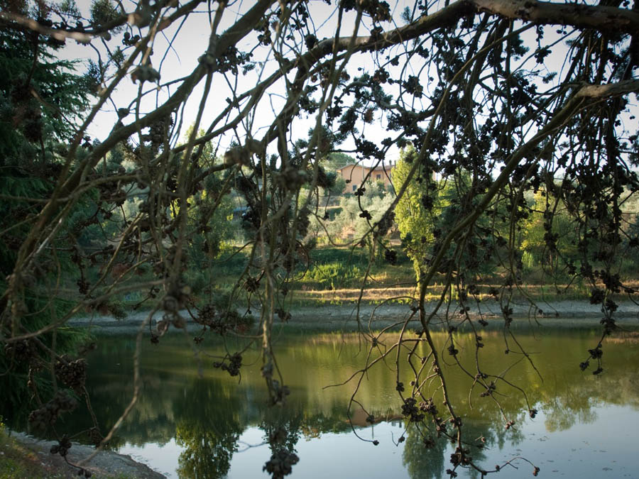 Il Lago dell'Azienda Agricola Le Poggiola